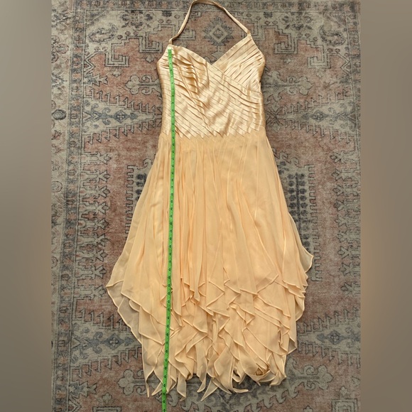 Issue NWT Silk Pink Fairy Whimsical Ballet Y2K Chic Ruffle Flowy Cocktail Dress - Picture 6 of 7